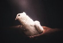 DOWNLOAD Bryann T - Free & Forgiven MP3