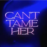 Can’t Tame Her Lyrics By Zara Larsson