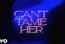 Can’t Tame Her Lyrics By Zara Larsson