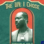 DOWNLOAD Adekunle Gold - The Life I Chose MP3