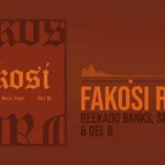 DOWNLOAD Fakosi (Remix) by Reekado Banks FT Seyi Vibez MP3