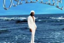 DOWNLOAD Joeboy - Osadebe MP3