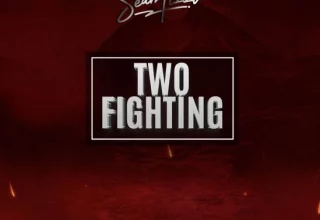 DOWNLOAD Sean Tizzle - Two Fighting MP3