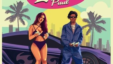 Lasmid Puul Free Mp3 Download