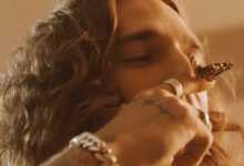 Kid Bloom Dead Butterflies Free Mp3 Download.