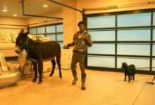 DOWNLOAD NBA YoungBoy - Act A Donkey MP3