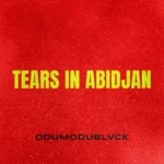 DOWNLOAD Odumodublvck - Tears in Abidjan MP3