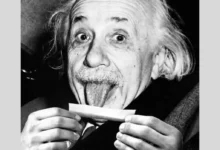 DOWNLOAD Cannabis by Rord kelly MP3