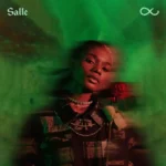DOWNLOAD Salle - Countdown MP3