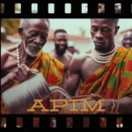 DOWNLOAD Apim by Shatta Wale MP3
