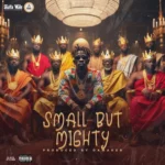 DOWNLOAD Shatta Wale - Small But Mighty MP3