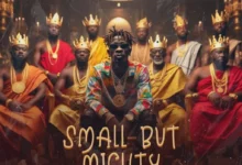 DOWNLOAD Shatta Wale - Small But Mighty MP3