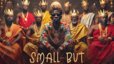 DOWNLOAD Shatta Wale - Small But Mighty MP3