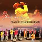 DOWNLOAD Praise Is What I Do Remix by Shekinah Glory Ministry MP3