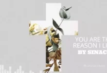 DOWNLOAD Sinach - You Are The Reason I Live MP3