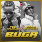DOWNLOAD Buga (Remix) by TeeFamous FT Bella Shmurda MP3
