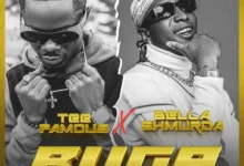 DOWNLOAD Buga (Remix) by TeeFamous FT Bella Shmurda MP3