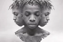 DOWNLOAD Regina by Tekno FT CKay MP3