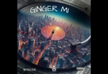 DOWNLOAD Wadude - Ginger Mi MP3