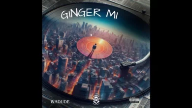 DOWNLOAD Wadude - Ginger Mi MP3