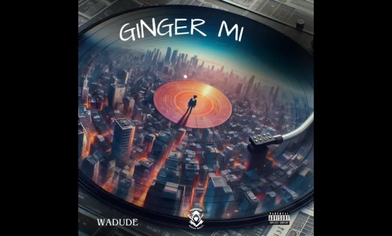 DOWNLOAD Wadude - Ginger Mi MP3